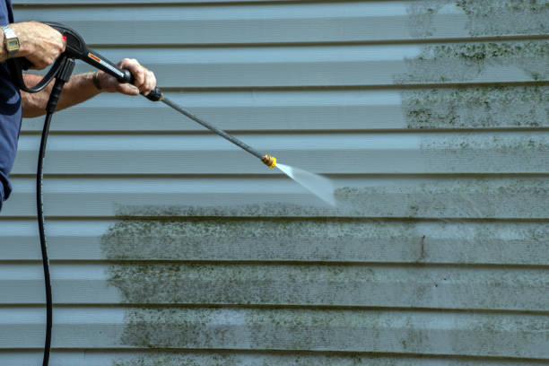 Roof Power Washing Services in Washburn, IL