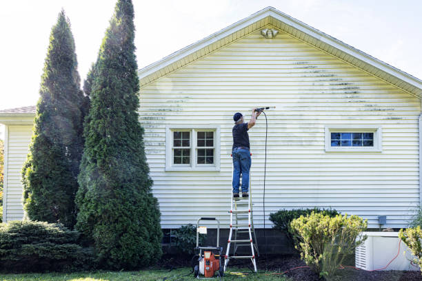 Best Concrete Pressure Washing  in Washburn, IL