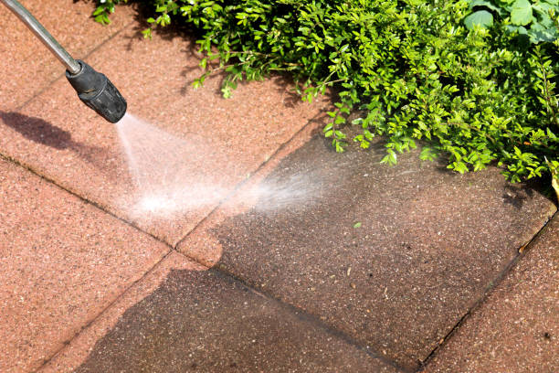 Best Pressure Washing Driveway  in Washburn, IL